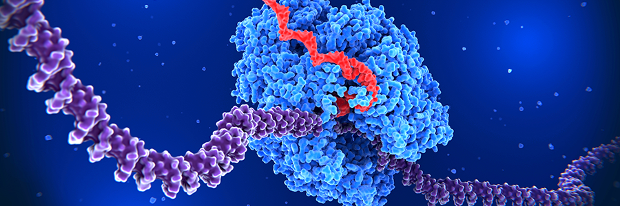 Function-of-mRNA-in-Biopharma_banner